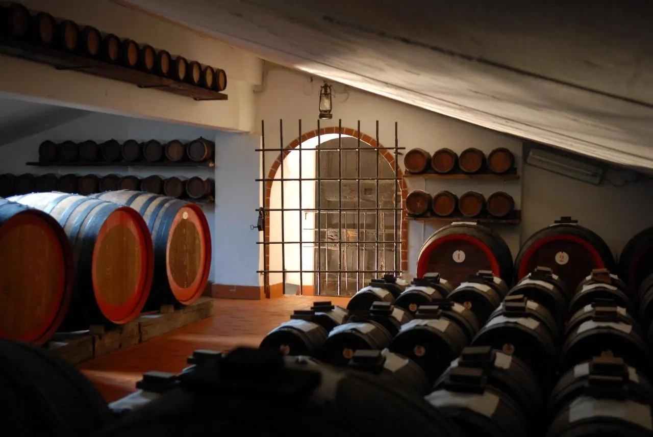 Real Bb Balsamico Bed & Breakfast Bastiglia